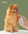 Load image into Gallery viewer, Dog — Full Grooming (Subscription)