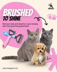 Load image into Gallery viewer, Cat — Full Grooming
