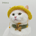 Load image into Gallery viewer, Cat — Basic Grooming
