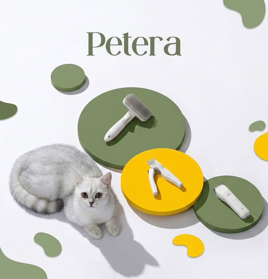 Cat — Full Grooming