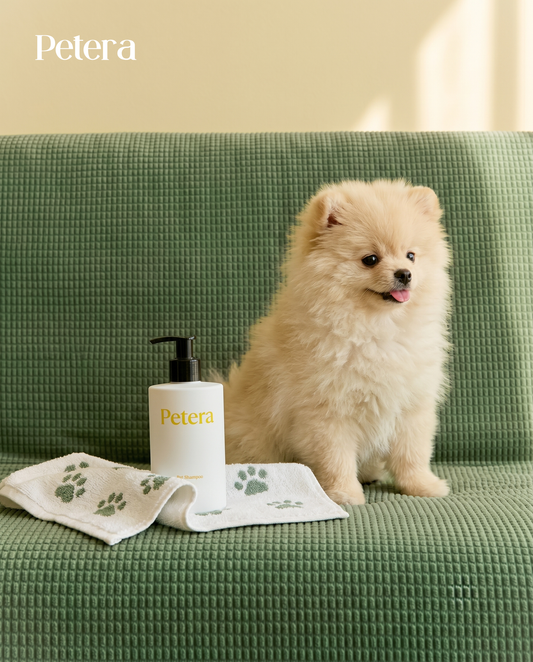 Dog — Full Grooming