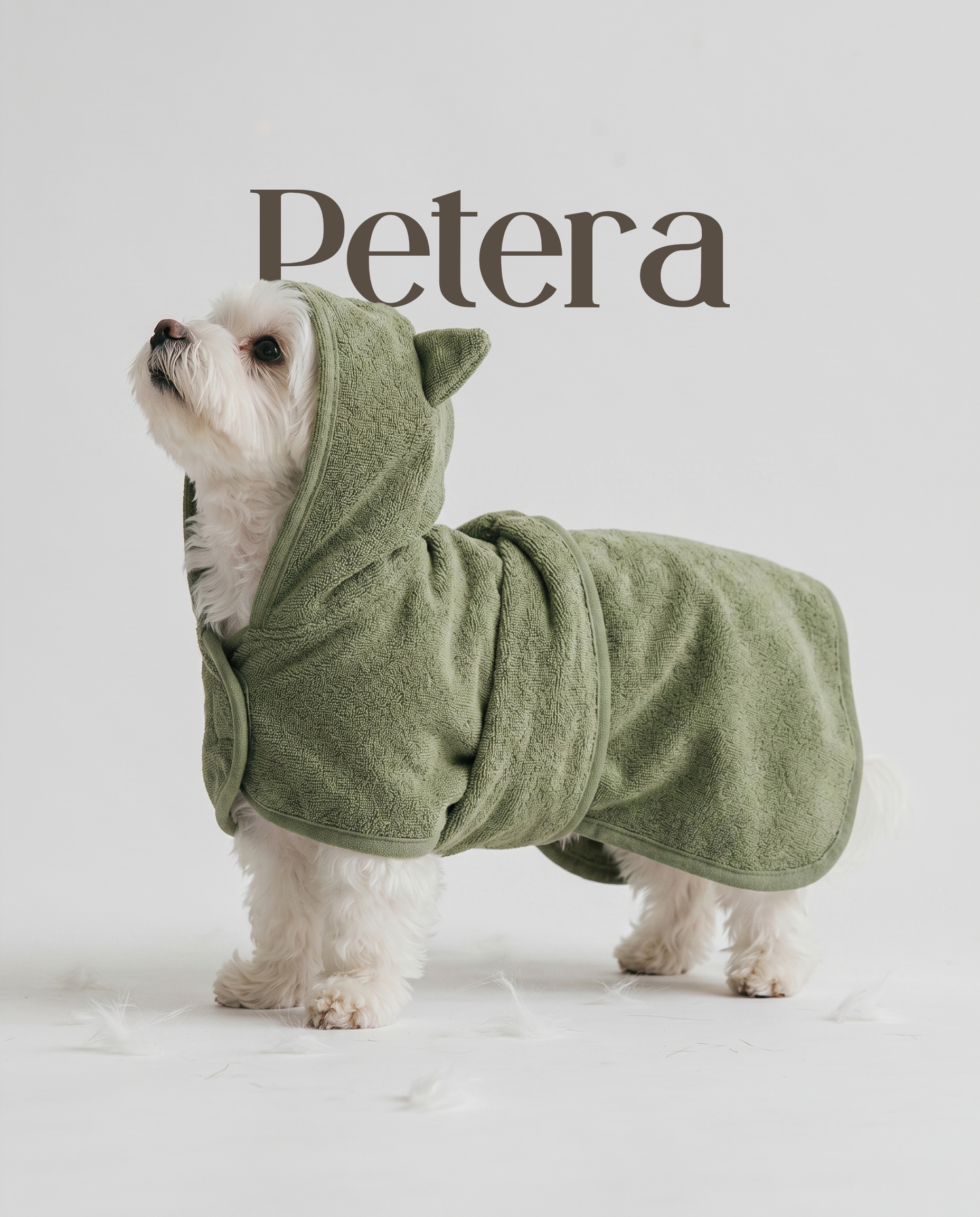 THE PET ERA SIGNATURE WELLNESS SESSION
