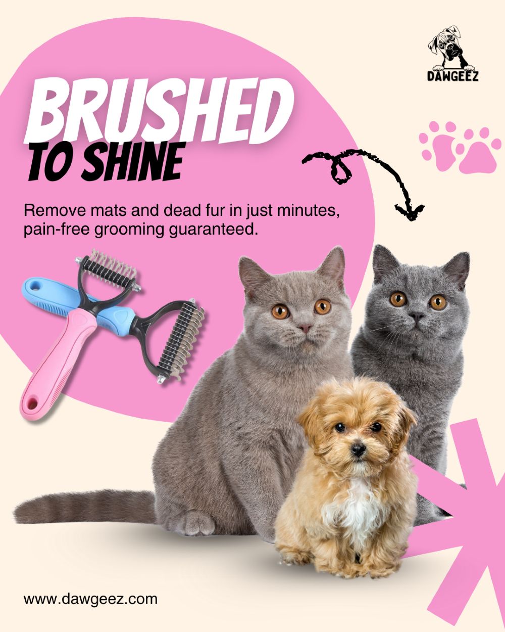 Cat — Full Grooming