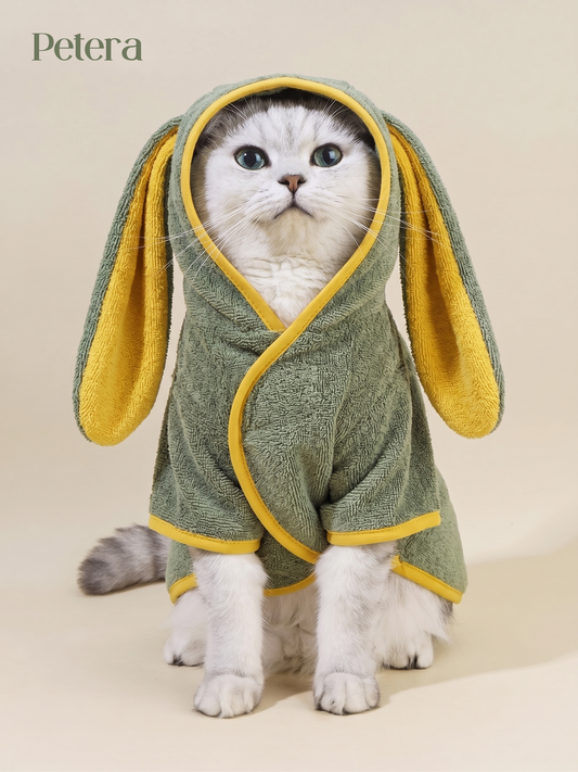 Cat — Basic Grooming